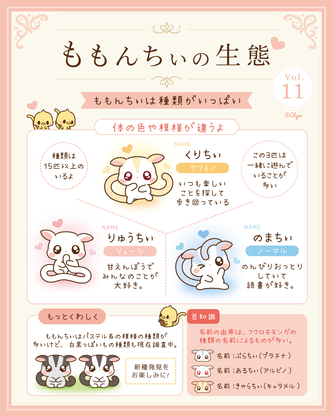 ひよちぃの調査レポート第11号。りゅーちぃ、くりちぃ、のまちぃなど、ももんちぃの体の色や模様の違いを紹介